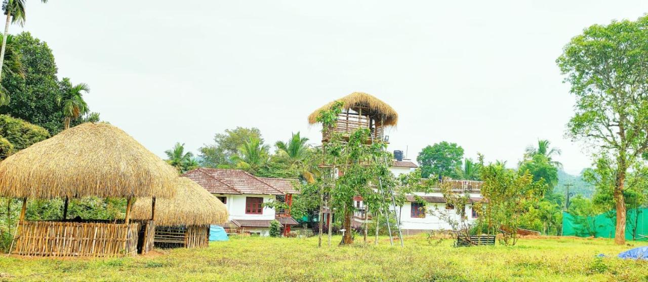 Three Roots Holiday Home Resort Sultan Bathery Extérieur photo